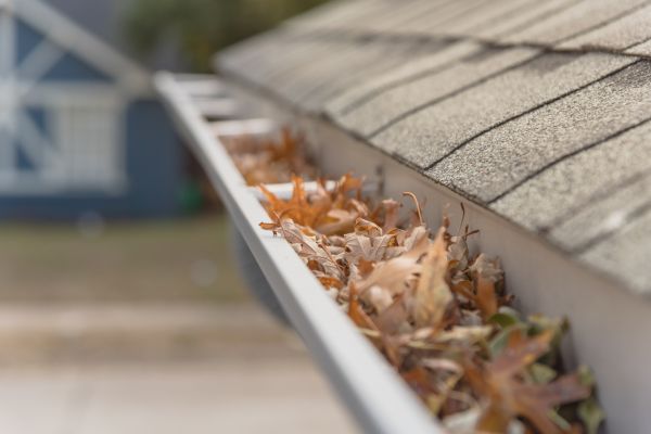 Leaf Barrier Installation in Acworth